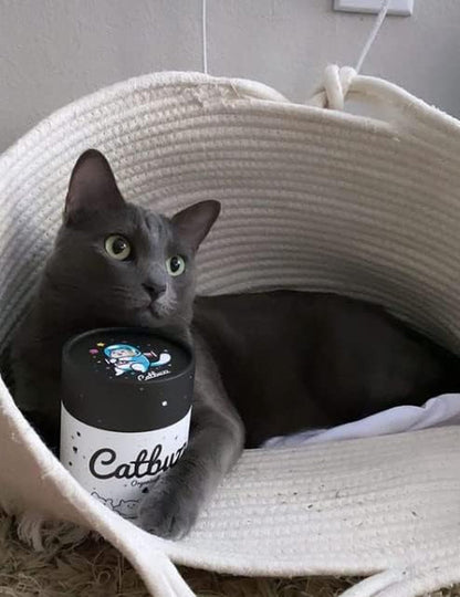 Catbuzz Premium and Organically Grown Catnip, Fresh, Grown by Family Farmers in the USA, All-Natural, Eco-Friendly, Sustainable4