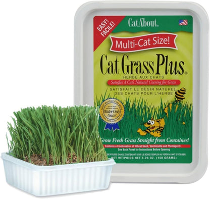 Miracle Care Cat A'Bout Cat Grass Kit, 5.25 Ounce | Easy to Grow Seeds + Planter for Indoor Cats, Natural Fiber Aids Digestion, Reduces Hairballs, Freshens Breath, Quick Growing1