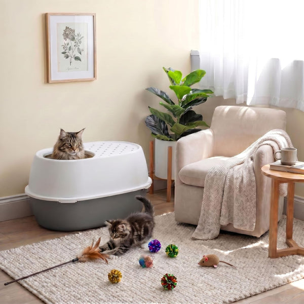 IRIS USA Xx-Large Top Entry Cat Litter Box, Dog Proof, Gray/White | Extra Large, Heavy Duty Plastic, Big Cats, Secure 4-Buckle Lock, Tracking Control Lid, Quick Cleanup5