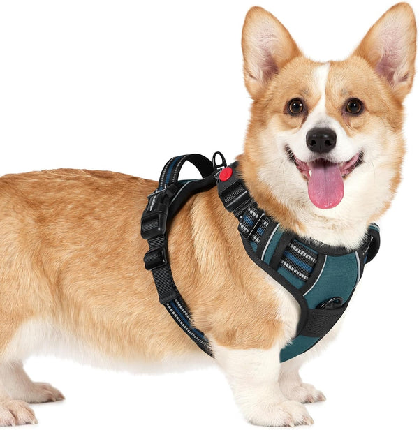 Rabbitgoo Dog Harness Medium Sized, Updated Easy on & off with 3 Buckles | No Pull No Choke, Walking with 2 Clips and Handle, Adjustable Soft Reflective, Blue, Medium74