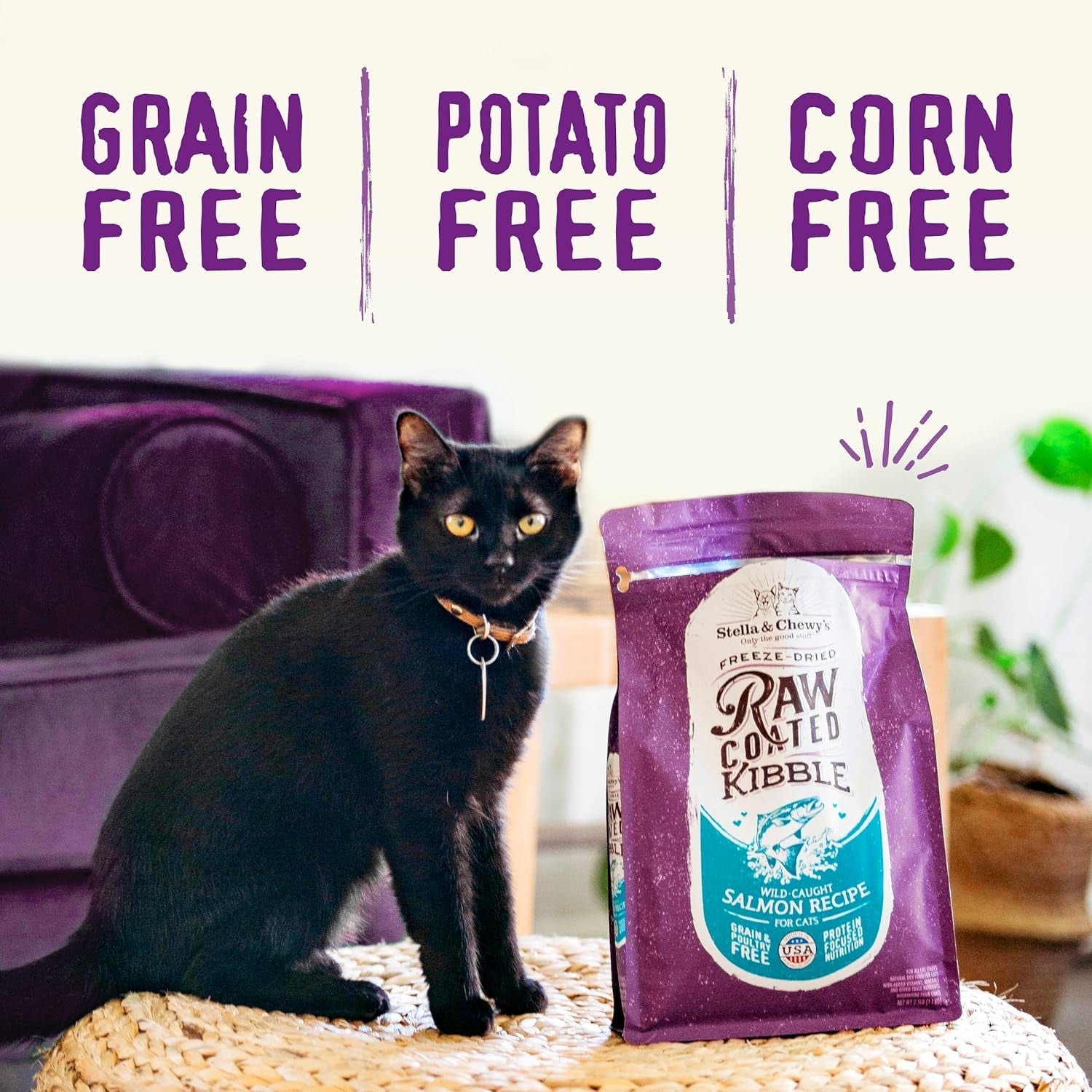 stella-chewys-raw-coated-cat-food-high-protein-grain-free-kibble-with-cage-free-chicken-premium-digestive-support-with-probiotics-natural-small-kibble-perfect-for-picky-eaters-10-lb-bag