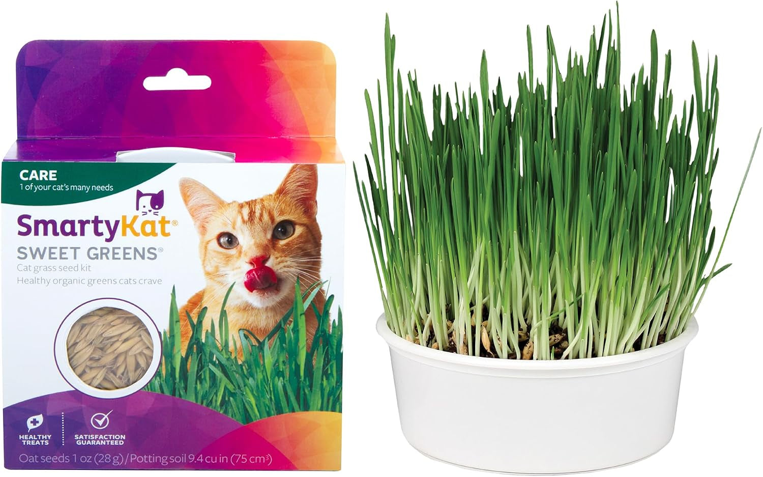 smartykat-sweet-greens-organic-oat-grass-all-in-one-cat-grass-grow-kit-easy-to-grow-to-support-digestion-hairball-reduction