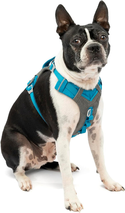Kurgo Journey Air Dog Harness, Blue, Small | Padded Chest, Ripstop Outer & Breathable Mesh, Back Assist Handle, Rust-Free Aluminum Hardware, Reflective Trim19