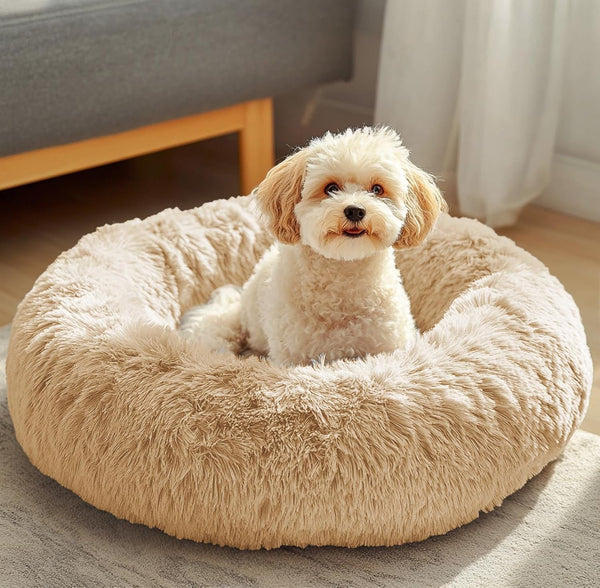 JOLLYVOGUE Small Dog Bed, Calming Soft Anti-Anxiety Donut Cat Bed, Washable round Fluffy Cushion for Small and Medium Pets (20")44