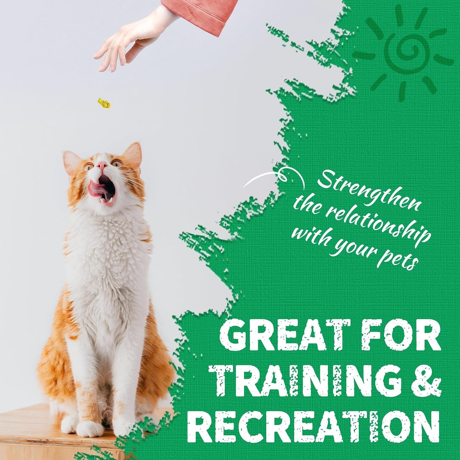 just-try-13-4-oz-crunchy-cat-treats-catnip-treats-for-cats-with-digestive-support-natural-ingredients-kitten-treats-with-real-salmon-healthy-feline-snacks-training-biscuits-dental-care-natural-chicken-catnip-crunchy-cleans-teeth-fiber-reduces-hairballs-perfect-training-rewards-for-all-cats