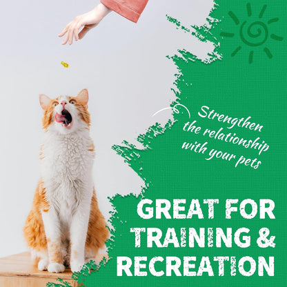 Just Try 13.4 OZ Crunchy Cat Treats Catnip Treats for Cats with Digestive Support, Natural Ingredients Kitten Treats with Real Salmon, Healthy Feline Snacks Training Biscuits Dental Care | Natural Chicken & Catnip. Crunchy Cleans Teeth, Fiber Reduces Hairballs. Perfect Training Rewards for All Cats.9