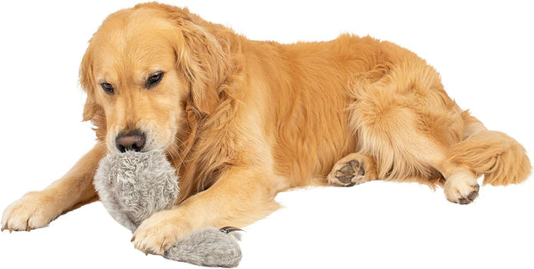 Hyper Pet Doggie Tail Interactive Plush Automatic Dog Toy, Wiggles, Barks | Durable Boredom Buster with Batteries Included, Vibrating Action Keeps Curious Pups of All Breeds Engaged and Entertained8