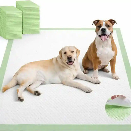 Two happy dogs on large absorbent puppy pads with green border, ideal for pet training and mess control7