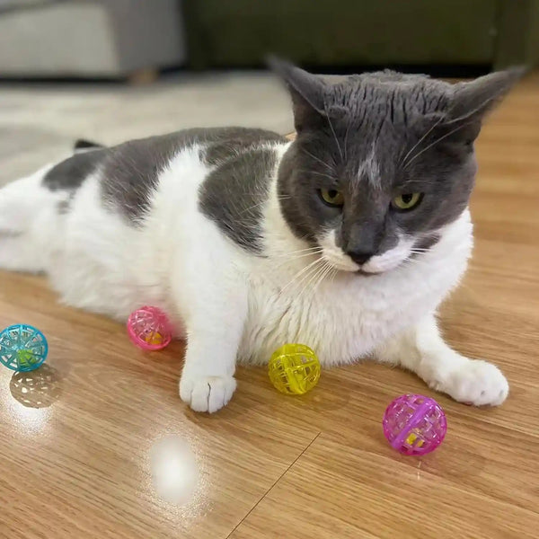 SPOT Lattice Balls Cat Toys - Durable, Fun Balls with Bells Perfect for Swatting and Batting, Colorful Toys to Entertain Indoor Cats and Kittens, - 1.5 Inch, 4 Pcs8