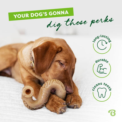 Benebone Tripe Bone Durable Dog Chew Toy for Aggressive Chewers, Real Tripe, Made in USA, Large3