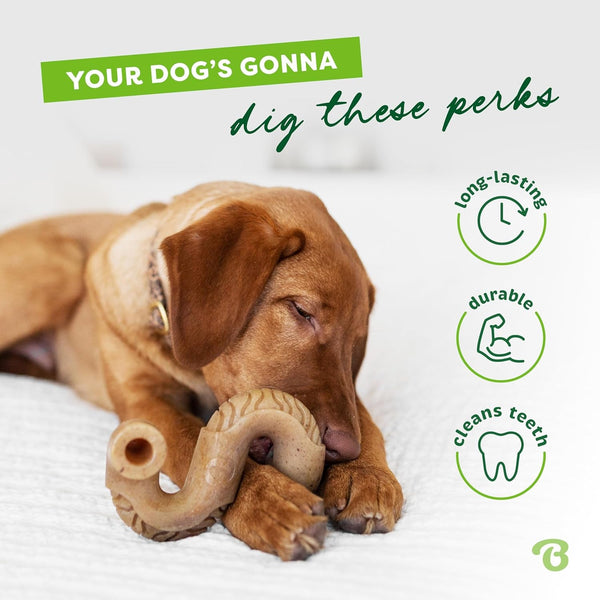 Benebone Tripe Bone Durable Dog Chew Toy for Aggressive Chewers, Real Tripe, Made in USA, Large3