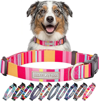 Lucky Love Dog - Easy Click Buckle Dog Collar with Leash Set Combo, Durable & Comfortable for Male & Female Dogs, Pet Collar for Medium Dogs, Secure Fit - Blackbird Combo, Medium39