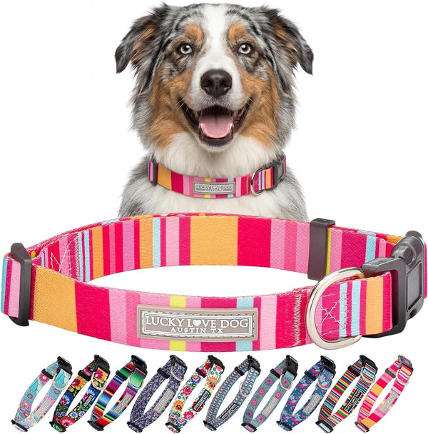 Lucky Love Dog - Easy Click Buckle Dog Collar with Leash Set Combo, Durable & Comfortable for Male & Female Dogs, Pet Collar for Medium Dogs, Secure Fit - Blackbird Combo, Medium39