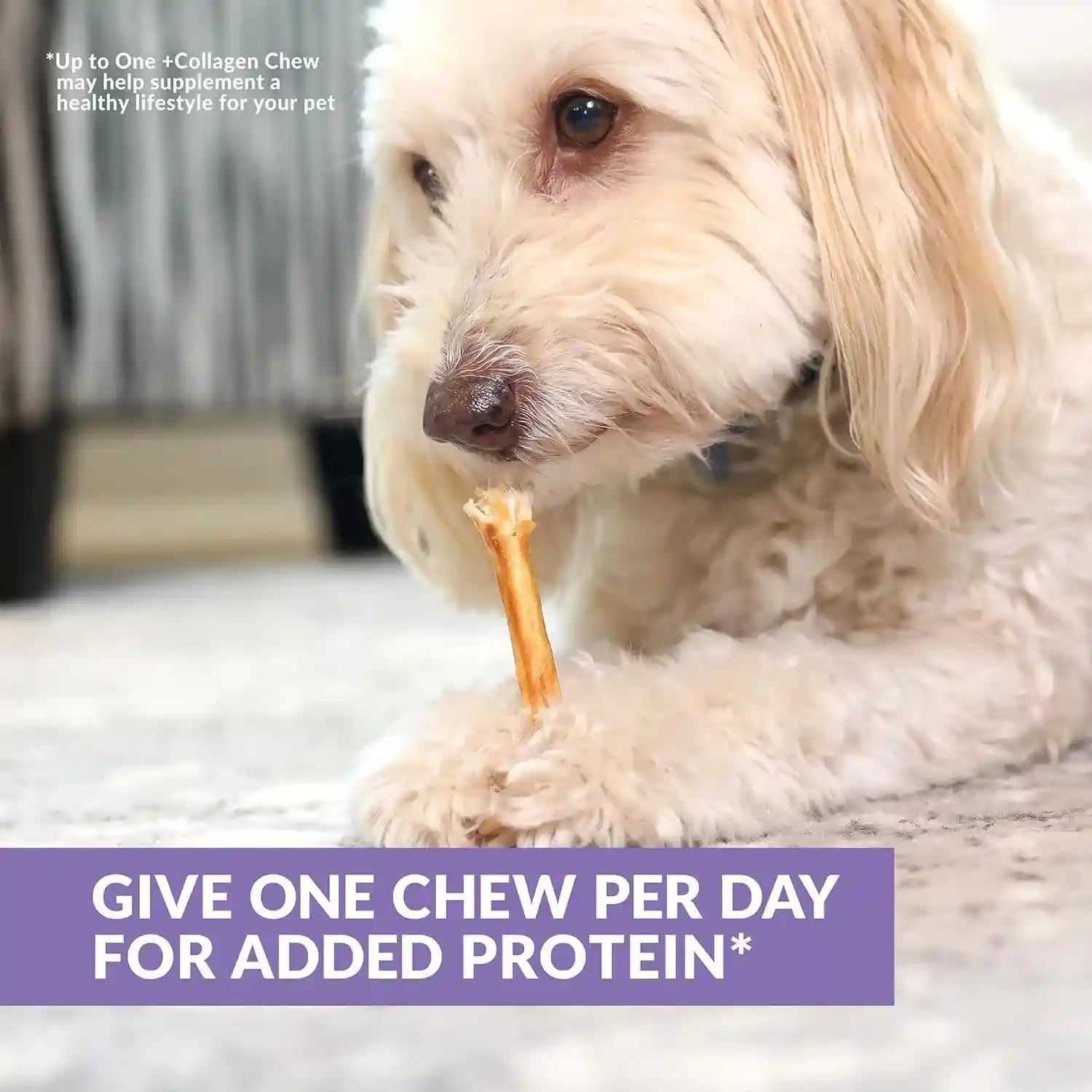 wild-eats-real-duck-collagen-bully-sticks-for-dogs-25-pack-rawhide-free-no-hide-chew-treat-made-without-grain-5-inch-size-high-protein-satisfies-natural-gnawing-urges-suits-all-breeds