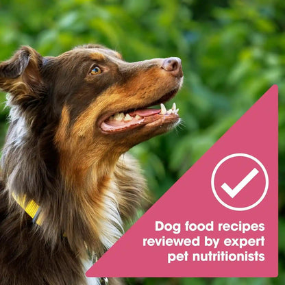 Nature'S Recipe Grain Free Easy to Digest Salmon, Sweet Potato and Pumpkin Recipe Dry Dog Food, 4-Pound | Fiber from Sweet Potatoes & Pumpkin Helps Support Digestion and Immune System Health5