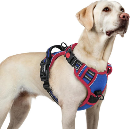 Rabbitgoo Dog Harness Medium Sized, Updated Easy on & off with 3 Buckles | No Pull No Choke, Walking with 2 Clips and Handle, Adjustable Soft Reflective, Blue, Medium48