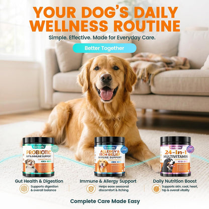 Probiotics for Dogs, Gut Health for Digestive Enzymes, 200 Chews | All Natural Probiotic Blend to Support Yeast, Itchy Skin and Itchy Ears, Allergies, Immunity, Diarrhea & Gas Relief, Chicken8