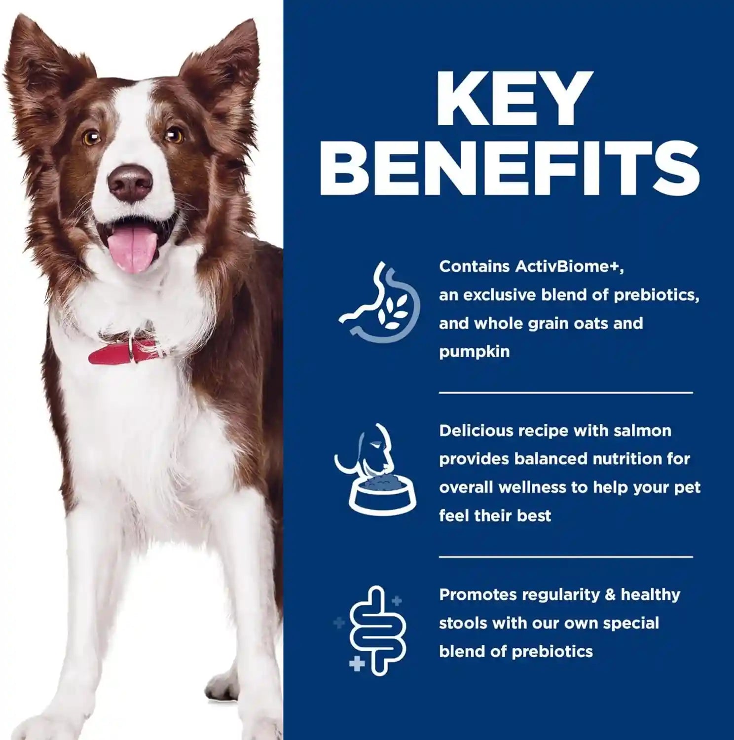 hills-science-diet-adult-1-6-perfect-digestion-dry-dog-food-1-veterinarian-recommended-salmon-whole-oats-brown-rice-22-lb-bag