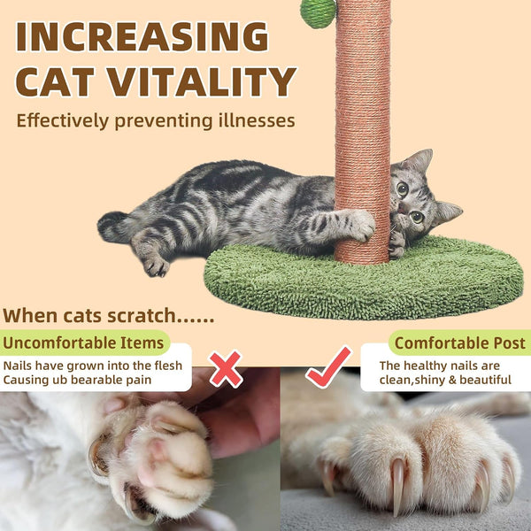 Meowoou Cat Scratching Post 33 Inch Tall Cat Scratcher for Indoor Cats Adults,Small Cat Tree Tower Sisal Rope Kitten Scratch with Interactive Hanging Ball4