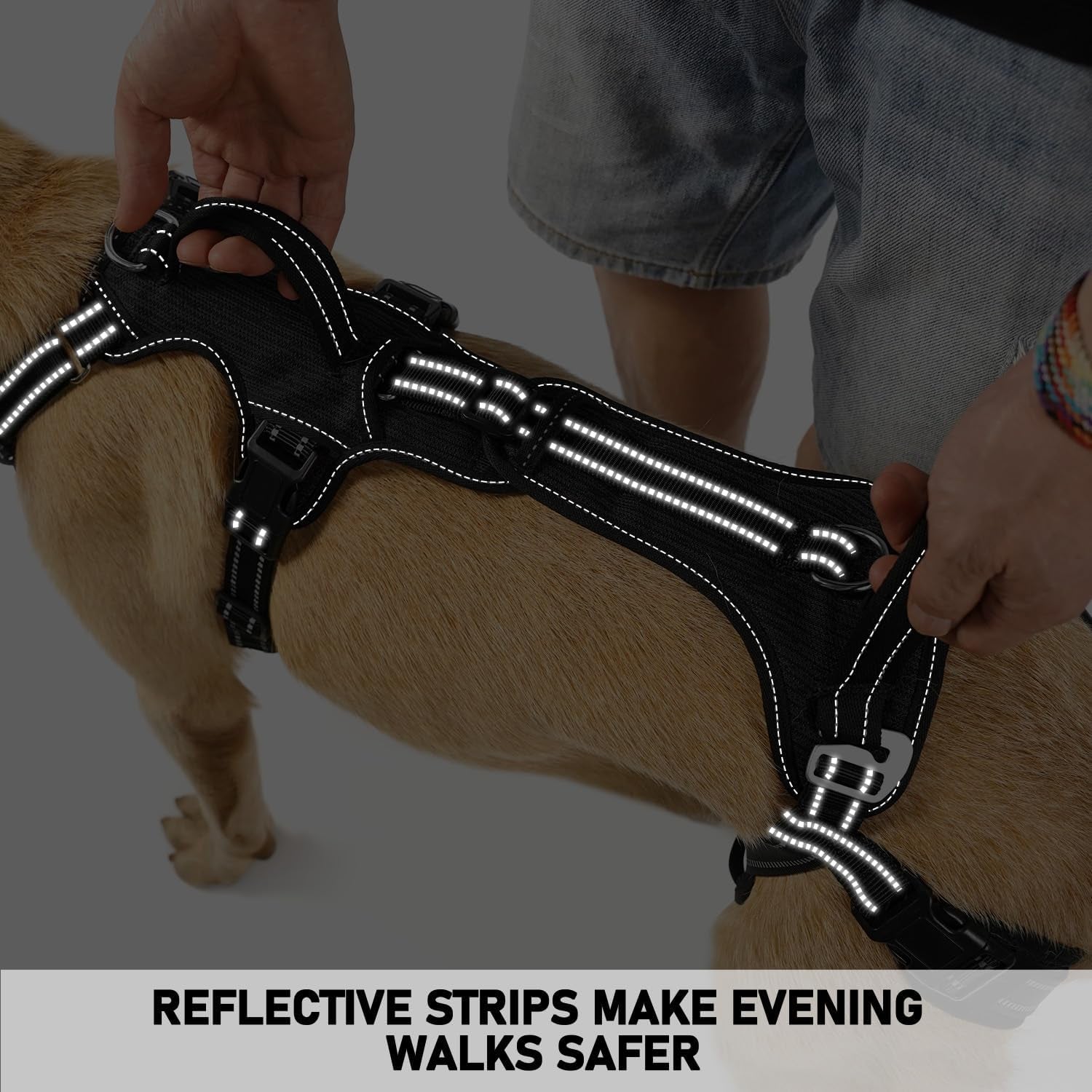 coodeo-mobility-dog-lift-harness-support-sling-walking-sling-for-dogs-pet-rear-leg-rehabilitation-support-vest-dog-carrier-for-senior-dogs-with-joint-injuries-arthritis-up-stair-black-l