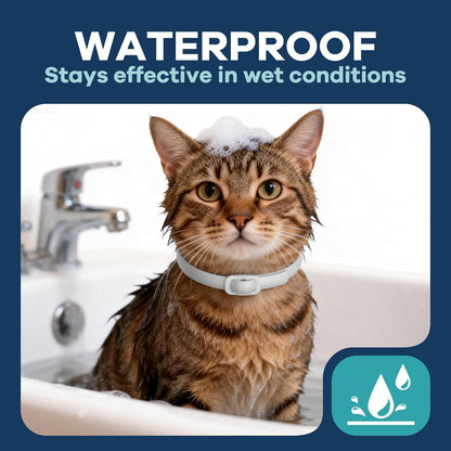 Flea and Tick Collar for Cats 5 Pack, 8 Months Protection, Plant-Based Ingredients, Water-Resistant, Adjustable & Lightweight, Suitable for Adult Cats & Kittens, White5
