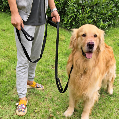 3 Handle Dog Leash 10FT Triple Handle Reflective Large Medium Dog | Multi Handles Heavy Duty Training Lead with Padded Traffic Handles for Control and Safety4