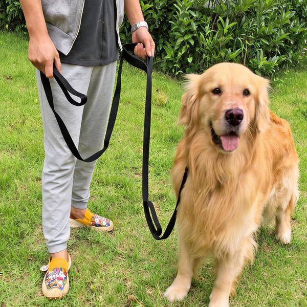 3 Handle Dog Leash 10FT Triple Handle Reflective Large Medium Dog | Multi Handles Heavy Duty Training Lead with Padded Traffic Handles for Control and Safety4