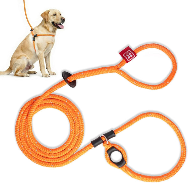 Harness Lead Escape Resistant, Reduces Pull Dog Harness, Medium/Large, Black20