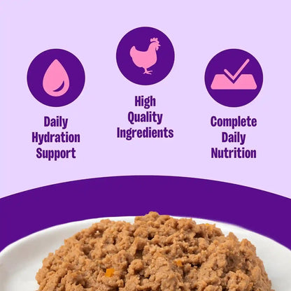 Wellness Complete Health Pate Adult Canned Wet Cat Food, Natural, Protein Rich, Grain Free, Chicken Entrée Recipe, 3 Oz, Pack of 24 Cans2