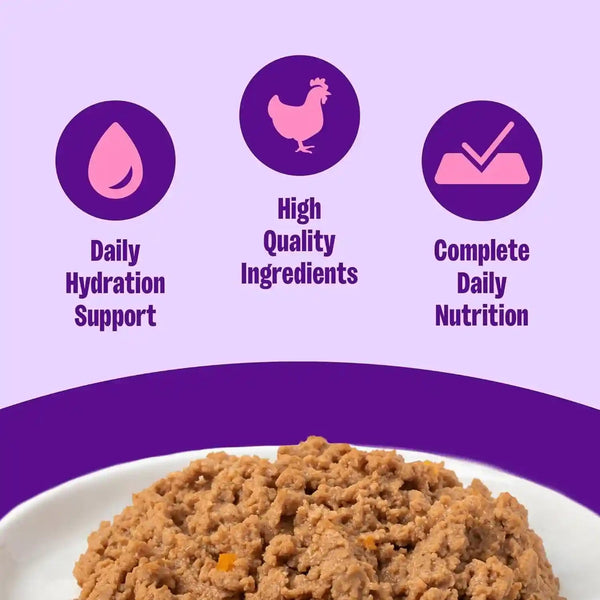 Wellness Complete Health Pate Adult Canned Wet Cat Food, Natural, Protein Rich, Grain Free, Chicken Entrée Recipe, 3 Oz, Pack of 24 Cans2