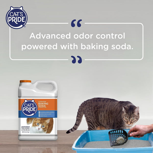 Cat'S Pride Lightweight Clumping Litter: Baking Soda - Powerful Odor Control - Scented, 10 Pounds6