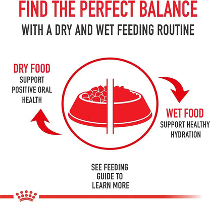 ROYAL CANIN Feline Health Nutrition Kitten Loaf in Sauce Cat Food, 3 Oz (Pack of 24)8