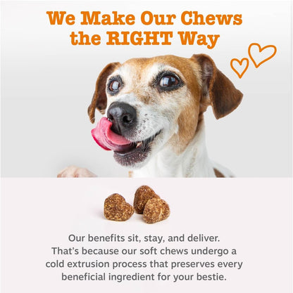 Zesty Paws Scoot Away Soft Chews - Healthy Bowel Function with Bromelain, Vita Fiber for Dogs, & Dandelion Root for Dog Digestive Support and Gut Health - 90 Soft Chews5