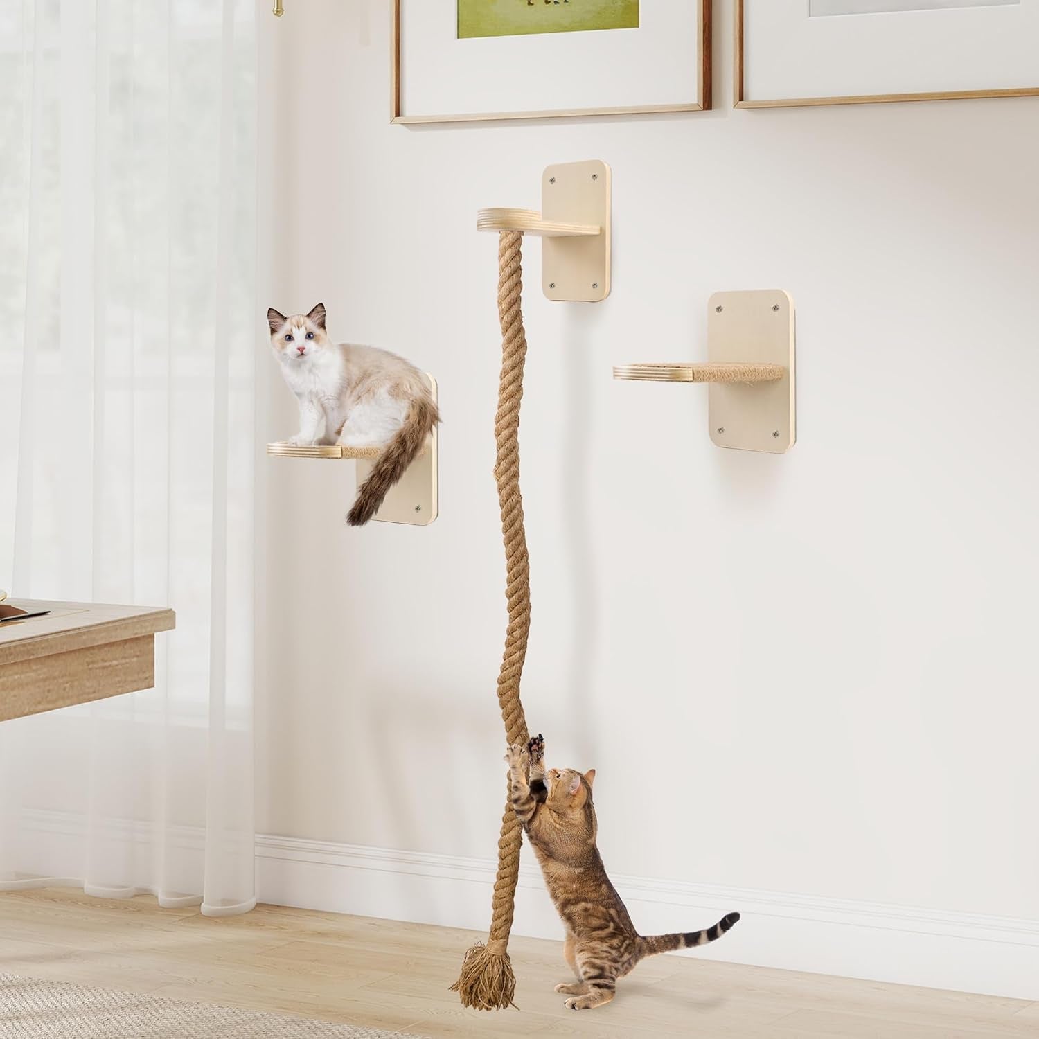 cat-wall-shelves-with-2-x-60-inch-climbing-rope-wall-mounted-cat-tree-with-scratching-post-kitten-rope-ladder-with-jumping-platform-wall-steps-for-playing-and-rest