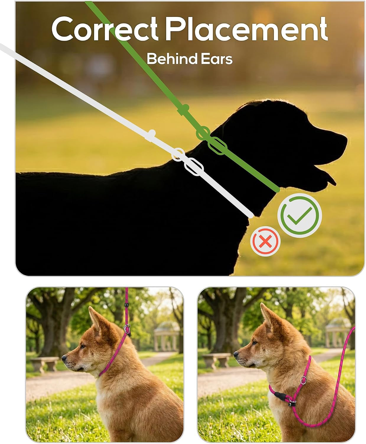 tagme-slip-lead-for-dogs-no-pull-training-leash-padded-handle-hot-pink-braided-climbing-rope-reflective-stitching-6-ft-fits-small-to-large-dogs-up-to-250-lbs-cushioned-grip-no-leash-burn