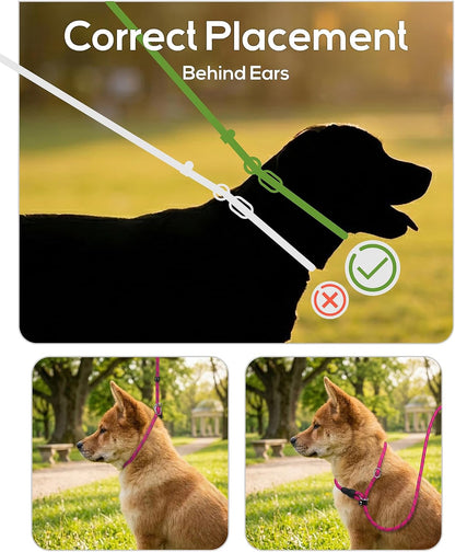 Tagme Slip Lead for Dogs, No Pull Training Leash, Padded Handle (Hot Pink) | Braided Climbing Rope, Reflective Stitching, 6 Ft, Fits Small to Large Dogs up to 250 Lbs, Cushioned Grip, No Leash Burn3