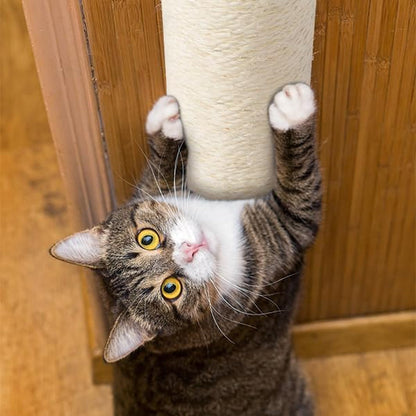 BEBOBLY Wall Mounted Cat Scratching Post for Indoor Cats | Kitten Wall Shelves Climbing Furniture| Sisal Rope Cat Claw Scratcher Tree | Solid Wooden Walkway for Cage Mounted Climbing Relaxing7