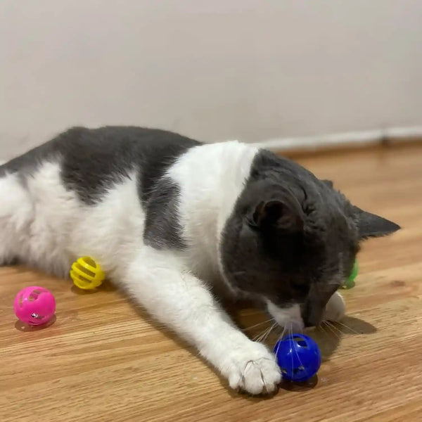 SPOT Slotted Balls Cat Toy - Interactive Cat Toys for Indoor Cats to Chase, Hunt and Stimulate - Jingle Bell inside for Sound When Batted around - Safe and Non-Toxic - 1.5" Assorted 4-Pack3