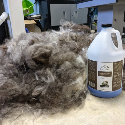 The Coat Handler Deshedding Dog Shampoo for Shedding, Undercoat, 1 Gallon | 32:1 Concentrate. Coconut Oil and Omega 3 Strengthen Hair Roots, Moisturizing Pet Grooming Wash, Groomer Grade, USA Made7