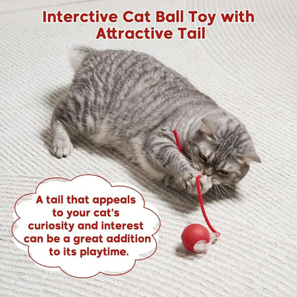 Interactive Dog & Cat Electric Active Toys, Smart Rolling Ball for Dogs & Cats, 360° Smart Automatic Rolling Pet Ball, Fast Moving Toy for Bored Indoor Kitty, Rechargeable(Red)6