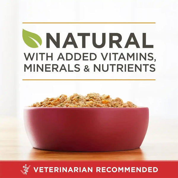 Purina ONE Classic Ground Chicken and Brown Rice Entree Adult Wet Dog Food - (Pack of 12) 13 Oz. Cans3