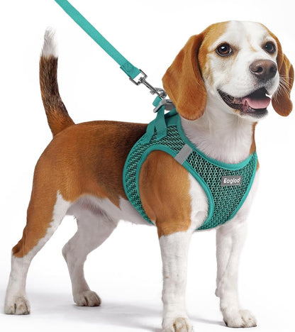 Eagloo Small Dog Harness and Leash Set, Step in Small Sized Puppy Pet Vest | Light, Soft, Breathable Air Mesh, Easy on and off with Hook & Loop, Reflective for Safe Walking, Pink, S60