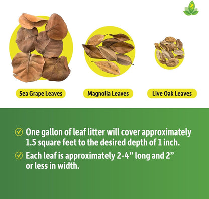 Josh'S Frogs Organic Live Oak Leaf Litter, 1 Gallon/500 Leaves | USA Collected6