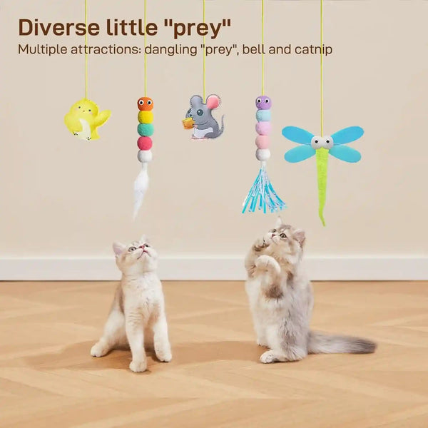 Potaroma Interactive Cat Feather Toys 5 Pcs, Cat Teaser Retractable Hanging Indoor Kitten Play Chase Exercise, Mental Physical Stimulation for All Breeds and Species | Retractable Hanging Cat Toys, Indoor Kitten Play Chase Exercise, Mental Physical Stimulation for All Breeds3