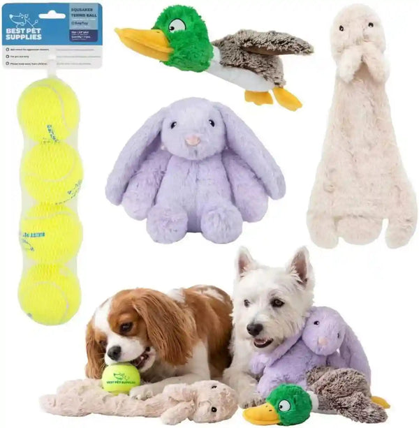 Best Pet Supplies Squeaky Dog Toys with Soft Durable Fabric for Small, Medium and Large Pets Interactive Toy for Indoor Play, Supports Active Biting and Play - 1Wild Duck, Small9