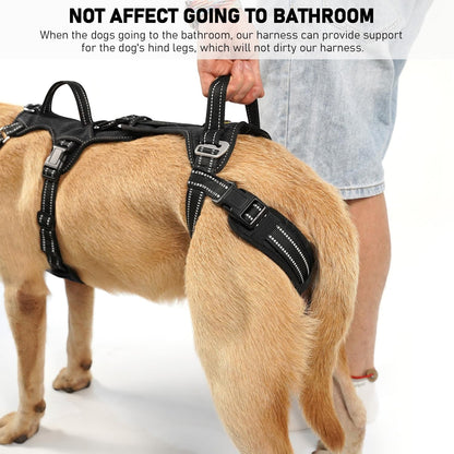 COODEO Mobility Dog Lift Harness, Support Sling & Walking Sling for Dogs, Pet Rear Leg Rehabilitation Support Vest, Dog Carrier for Senior Dogs with Joint Injuries, Arthritis, up Stair (Black, L)6