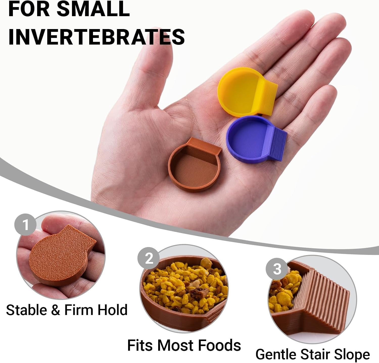 12-pack-feeding-dish-for-invertebrates-feeder-bowls-for-dubia-roaches-isopods-springtails-superworms-small-insects-more-mini-bowls-for-reptile-food-supplements