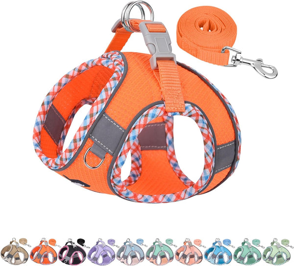 AIITLE Tiny Dog Harness - Lightweight Mesh Step-In Vest for Puppy, Reflective & Escape-Proof Design with High-Stick Magic Tape - Indoor/Outdoor Use for Chihuahua, Maltese, Shih Tzu(Brown-Beige, XXXS)18