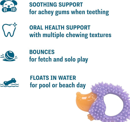 Cutie Chewies Hedgehog Dental Dog Chew Toy — Multi-Textured, Massages Gums, Floats & Bounces for Teething Puppies & Small Dogs, 5" X 3.5" X 1"3