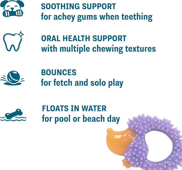 Cutie Chewies Hedgehog Dental Dog Chew Toy — Multi-Textured, Massages Gums, Floats & Bounces for Teething Puppies & Small Dogs, 5" X 3.5" X 1"3